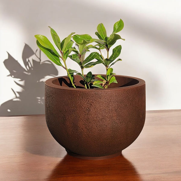 Organic Style Rust Planter I.