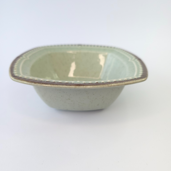 Bowl estilo Orgánico Verde